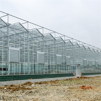 Venlo automatisierte landwirtschaftliche Betriebsdie ausgeglichene Glasgewächshaus-multi Wasserkulturspanne