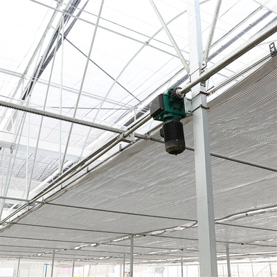 Venlo automatisierte landwirtschaftliche Betriebsdie ausgeglichene Glasgewächshaus-multi Wasserkulturspanne