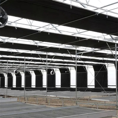 Pilz Multispan-Vorhang-schloss automatische Stromausfall-Gewächshaus-Vorhang-Gosse an