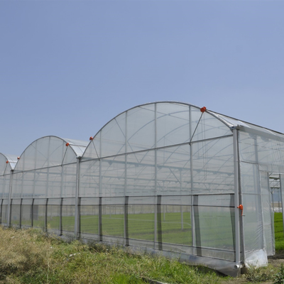 Antiinsekten-multi Spannen-Wasserkulturnettotunnel-Plastikgewächshaus für Gemüse