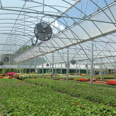 Runde Tunnel-Kunststoffplatte-multi Spannen-Wasserkulturgewächshaus für das Blumen-Pflanzen