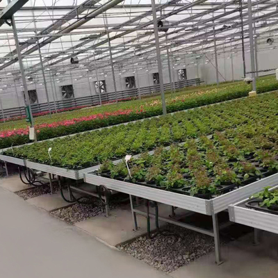 Gemüse-Ebbe und Flut-Tray Seeding Bed Greenhouse Rollings-Bänke