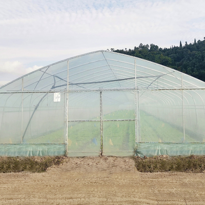 Wasserkultursystem-Stahlrahmen-Bogen-Plastikfilm-Polytunnel-Gewächshaus für Tomate