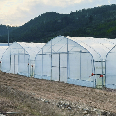 Wasserkultursystem-Stahlrahmen-Bogen-Plastikfilm-Polytunnel-Gewächshaus für Tomate