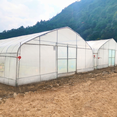 Galvanisiertes Stahluvplastikfilm Vergetables-Einzel-Spanne Gewächshaus des Rahmenkonstruktions-Rohr-PET-PO