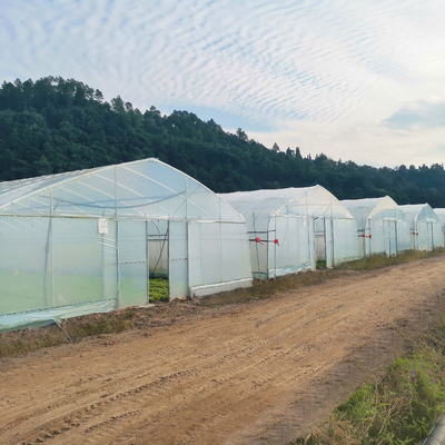 Einzel-Spannengewächshäuser Landwirtschafts-grünes Haus zu verkaufen des Bewässerungssystems produktive
