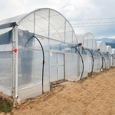 Schlüsselfertige Projekte installierten Handelswasserkulturc$multi-spanne des plastikfilm-grünen Hauses landwirtschaftliche Gewächshäuser