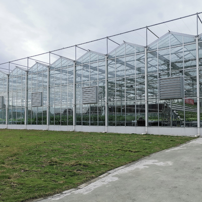 Landwirtschafts-Blumen-Gewächshaus-Glas industrielles professionelles niederländisches Glasgewächshaus Multispan im Freien für das Blumen-Pflanzen