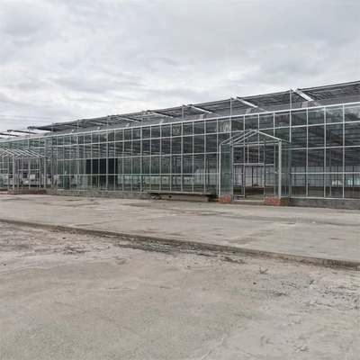 Multi-Spanne landwirtschaftliche Gewächshäuser Venlo milderten Glasgewächshaus mit wachsendem Wasserkultursystem