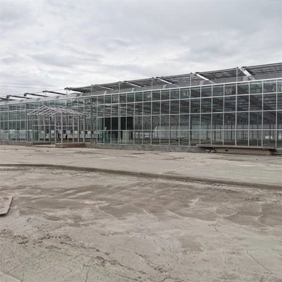 Komplettes Gemüse-Zuchtc$multi-spanne Gewächshaus-Fiberglas-landwirtschaftliches Glasgewächshaus