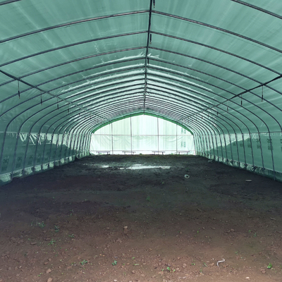 Doppelschicht-einzelnes Spannen-Gewächshaus-Schwarzes Mesh Mushroom Cultivation In Greenhouses