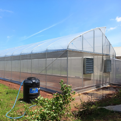 150 200 Mikrometer-kommerzielle stützbare Gewächshaus-Landwirtschaft modern mit 1*2m Tür