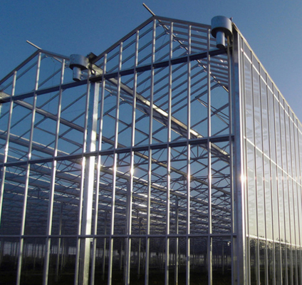 Polykarbonat-Hohlplattenglas Industrie-Außen-Multispan-Glas Professionelles holländisches Gewächshaus für Blumenpflanzung
