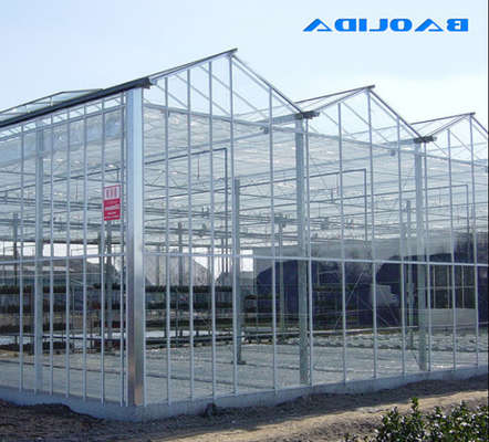 Großes Glasgewächshaus-hohe starke Struktur ISO9001 Venlo