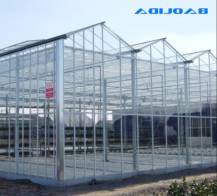 Polykarbonat-Hohlplattenglas Industrie-Außen-Multispan-Glas Professionelles holländisches Gewächshaus für Blumenpflanzung