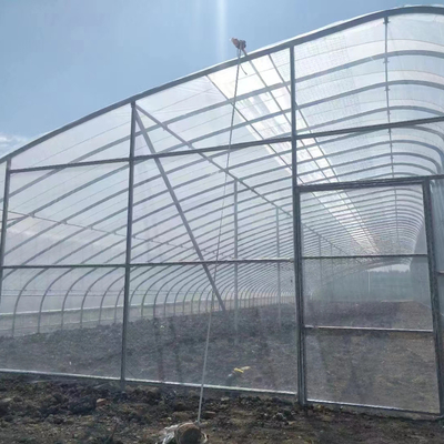 Plastikfolie Solarpassiv-Gewächshaus mit Regenwasser-Support