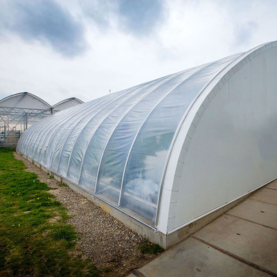 Hochisoliertes Garten Gewächshaus mit individueller Temperaturkontrolle und Größe