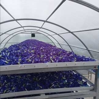 Heißverzinktes Stahlrahmen Polycarbonat Sonnentrockner Gewächshaus mit stabiler Struktur innen Außen Schattierungssystem