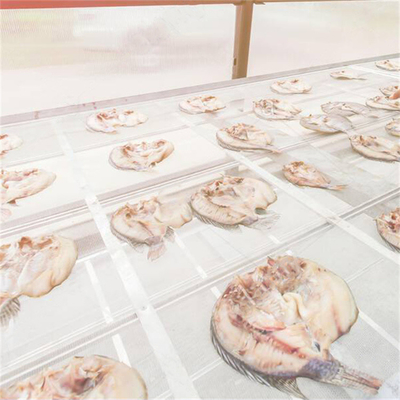 Anpassbares Gewächshaus für die Trocknung von Fisch aus Polycarbonat mit UV-Schutz und stabiler Struktur