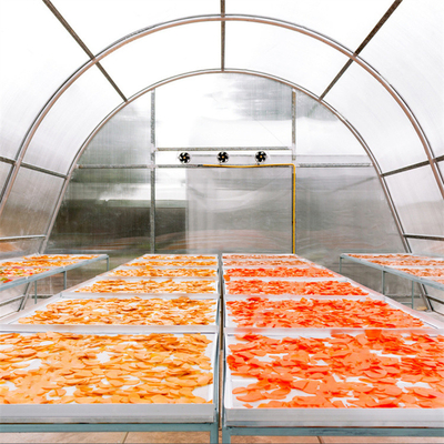 Anpassbares Gewächshaus für die Trocknung von Fisch aus Polycarbonat mit UV-Schutz und stabiler Struktur