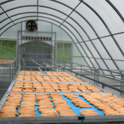Solartrockner aus UV-geschütztem Polycarbonat