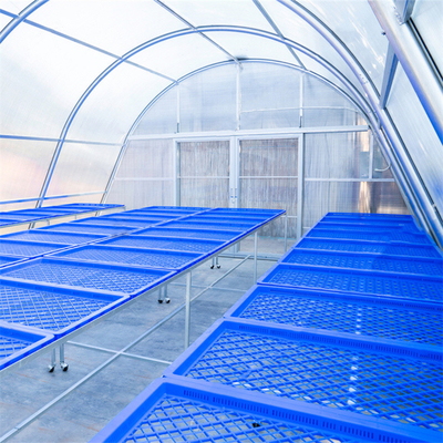 Solartrocknungsgewächshaus aus Polycarbonat mit UV-Schutz für Pflanzen- und Lebensmitteltrocknung