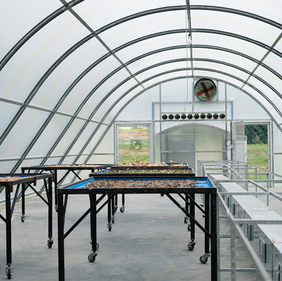 Solartrocknungsgewächshaus aus Polycarbonat mit UV-Schutz für Pflanzen- und Lebensmitteltrocknung
