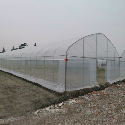 Windfeste UV-Netzhaus Gewächshaus Umweltschützer Mehrfachgewächshäuser