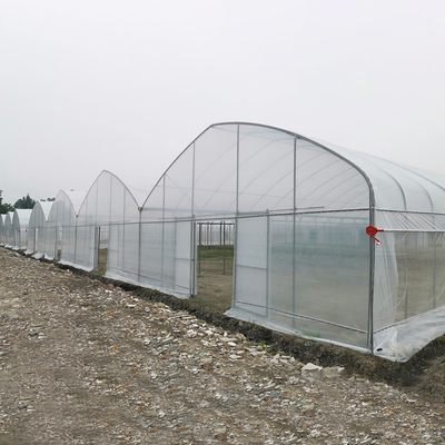 Windfeste UV-Netzhaus Gewächshaus Umweltschützer Mehrfachgewächshäuser