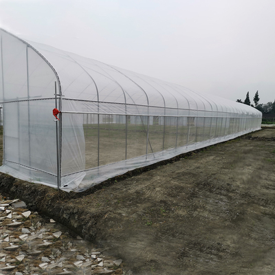 Windfeste UV-Netzhaus Gewächshaus Umweltschützer Mehrfachgewächshäuser