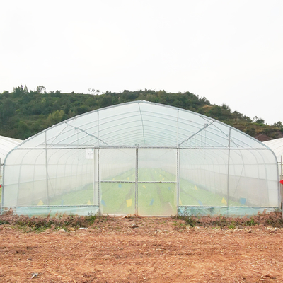 Einlagige warme Plastikfolie Gewächshaus Malaysia Tomatenblüten Gewächshaus für die Landwirtschaft
