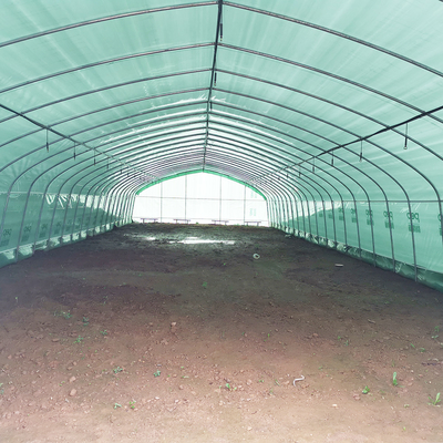 Einlagige warme Plastikfolie Gewächshaus Malaysia Tomatenblüten Gewächshaus für die Landwirtschaft