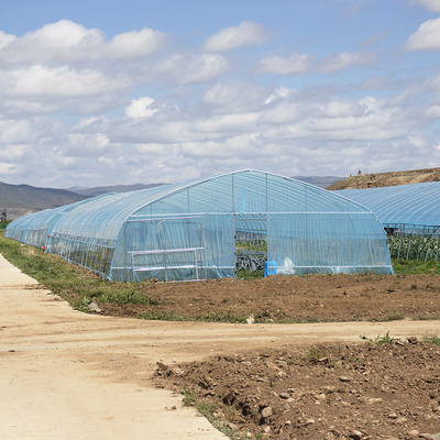 Warmverkauf Poly Tunnel Erdbeer Gewächshaus Landwirtschaftliches Einfach-Span Gewächshaus für Erdbeer Anbau