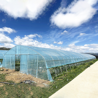 Warmverkauf Poly Tunnel Erdbeer Gewächshaus Landwirtschaftliches Einfach-Span Gewächshaus für Erdbeer Anbau