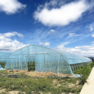 Warmverkauf Poly Tunnel Erdbeer Gewächshaus Landwirtschaftliches Einfach-Span Gewächshaus für Erdbeer Anbau