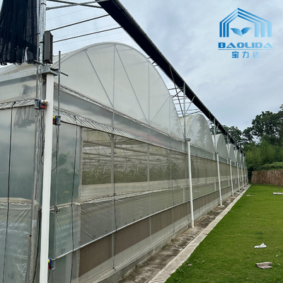 Intelligentes Verzinktes Rohr Stahlrohr Tomaten Plastikfilm Bogen Gewächshaus Landwirtschaftliches Mehrspanngewächshaus zum Verkauf