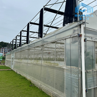 Intelligentes Verzinktes Rohr Stahlrohr Tomaten Plastikfilm Bogen Gewächshaus Landwirtschaftliches Mehrspanngewächshaus zum Verkauf