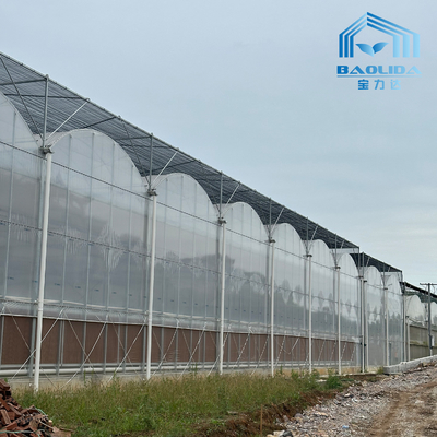 Intelligentes Verzinktes Rohr Stahlrohr Tomaten Plastikfilm Bogen Gewächshaus Landwirtschaftliches Mehrspanngewächshaus zum Verkauf