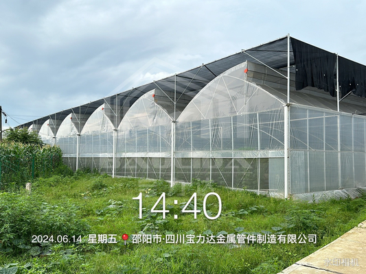 Hot Dip Galvanized Stahlrohr Gewächshaus Gewächshaus Lüftung Kunststoff Sägezahn Multi-Span Film tropischen Gewächshaus