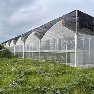 Hot Dip Galvanized Stahlrohr Gewächshaus Gewächshaus Lüftung Kunststoff Sägezahn Multi-Span Film tropischen Gewächshaus