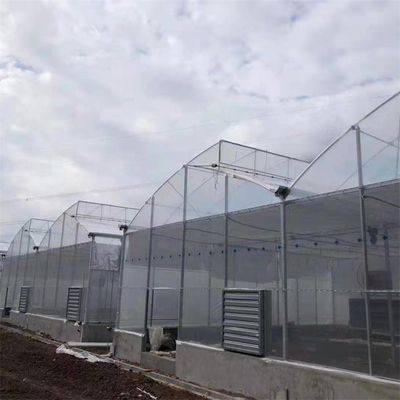 Hot Dip Galvanized Stahlrohr Gewächshaus Gewächshaus Lüftung Kunststoff Sägezahn Multi-Span Film tropischen Gewächshaus