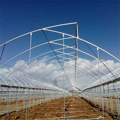 Hot Dip Galvanized Stahlrohr Gewächshaus Gewächshaus Lüftung Kunststoff Sägezahn Multi-Span Film tropischen Gewächshaus
