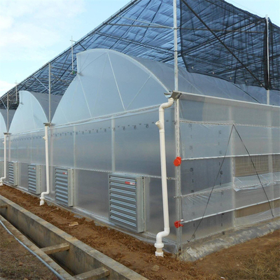 Hot Dip Galvanized Stahlrohr Gewächshaus Gewächshaus Lüftung Kunststoff Sägezahn Multi-Span Film tropischen Gewächshaus