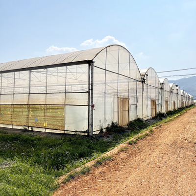 Landwirtschaft Großes Gewächshaus Metallrahmen Mehrspann-Gemüse Anbautunnel Mehrspann-Film-Gewächshaus