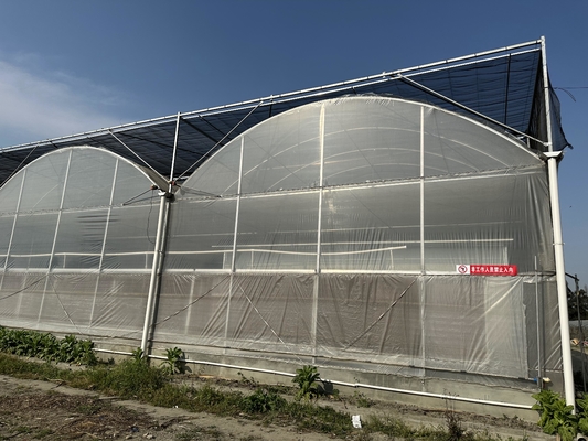 Landwirtschaft Großes Gewächshaus Metallrahmen Mehrspann-Gemüse Anbautunnel Mehrspann-Film-Gewächshaus