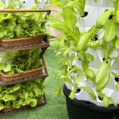 Growart Tower Hydroponisches Anbausystem Automatische sichtbare Wasserleitung Platzersparnis ABS