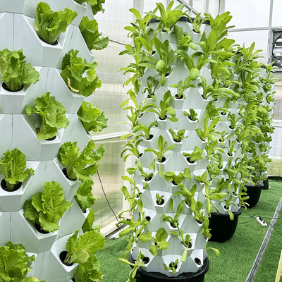 Growart Tower Hydroponisches Anbausystem Automatische sichtbare Wasserleitung Platzersparnis ABS