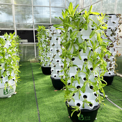 Automatisches Hydroponisches Turmsystem für Platzeinsparpflanzen