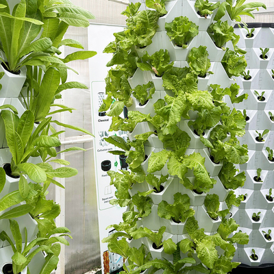 Kompaktes und vielseitiges hydroponisches Anbausystem für Platzersparnis