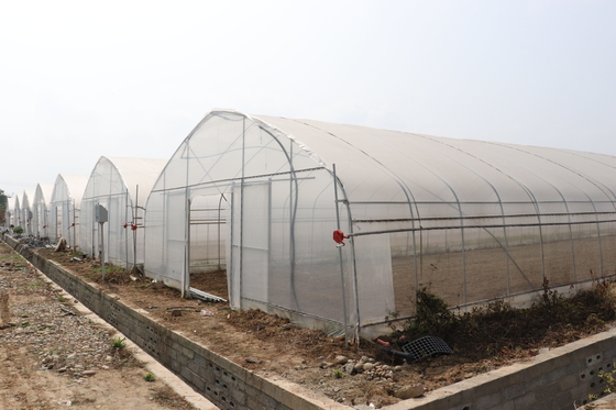 Spanne Polytunnel Sri Lanka Colombo Steel Frame Greenhouse Single